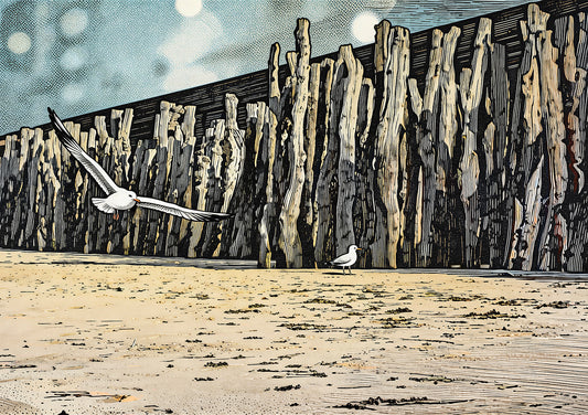 Seaside Seagulls, Driftwood Barrier